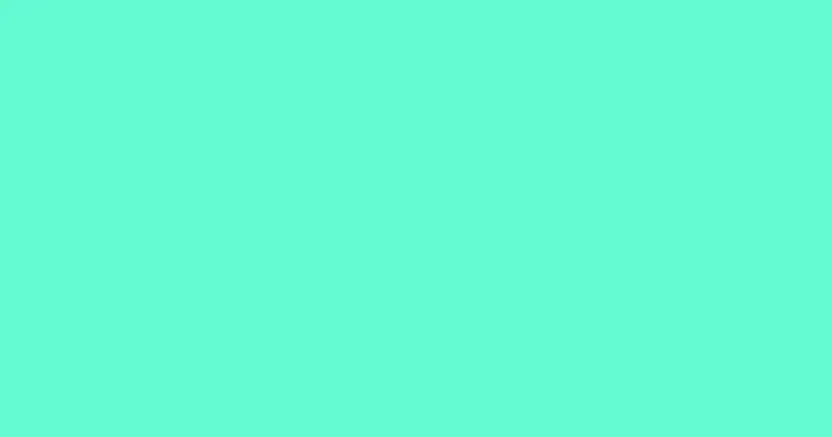 #63f9d1 aquamarine color image