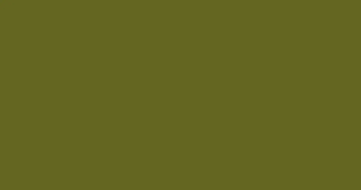 #646621 fern frond color image