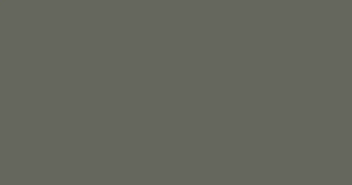 #65665d storm dust color image