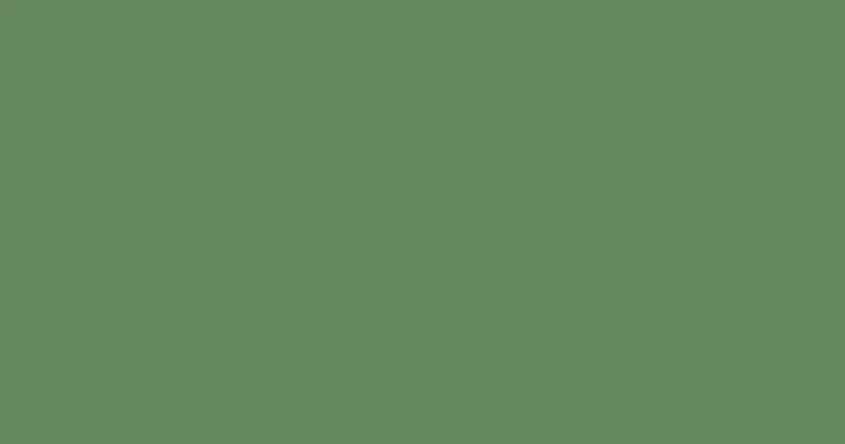 #65875e glade green color image