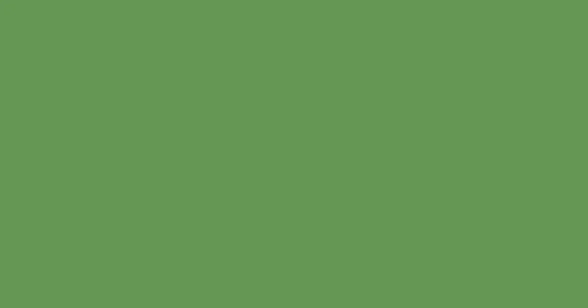 #659753 asparagus color image