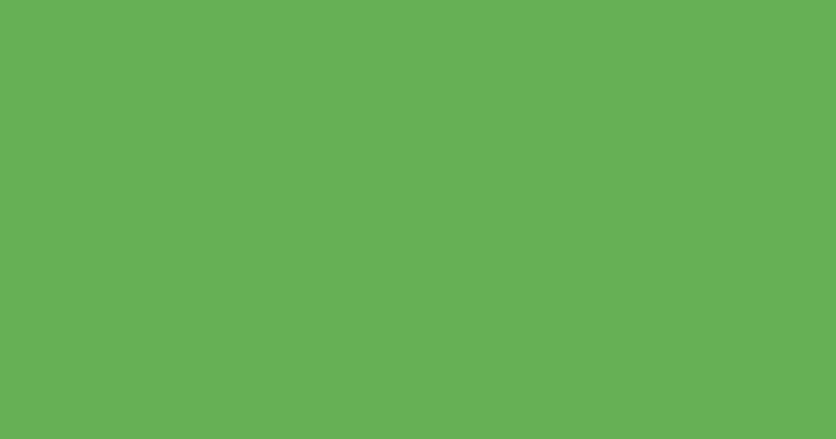 #65b054 fern color image