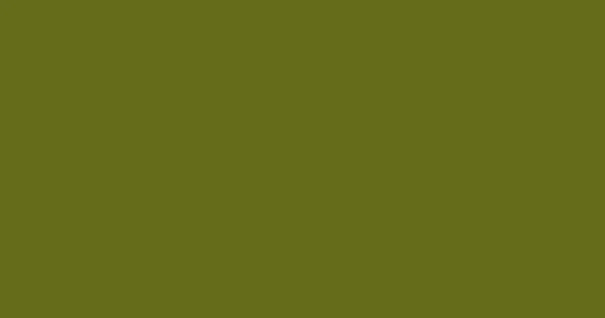 #666c1b fern frond color image