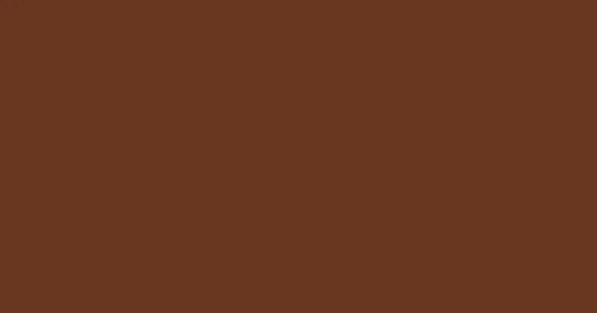#683620 raw umber color image