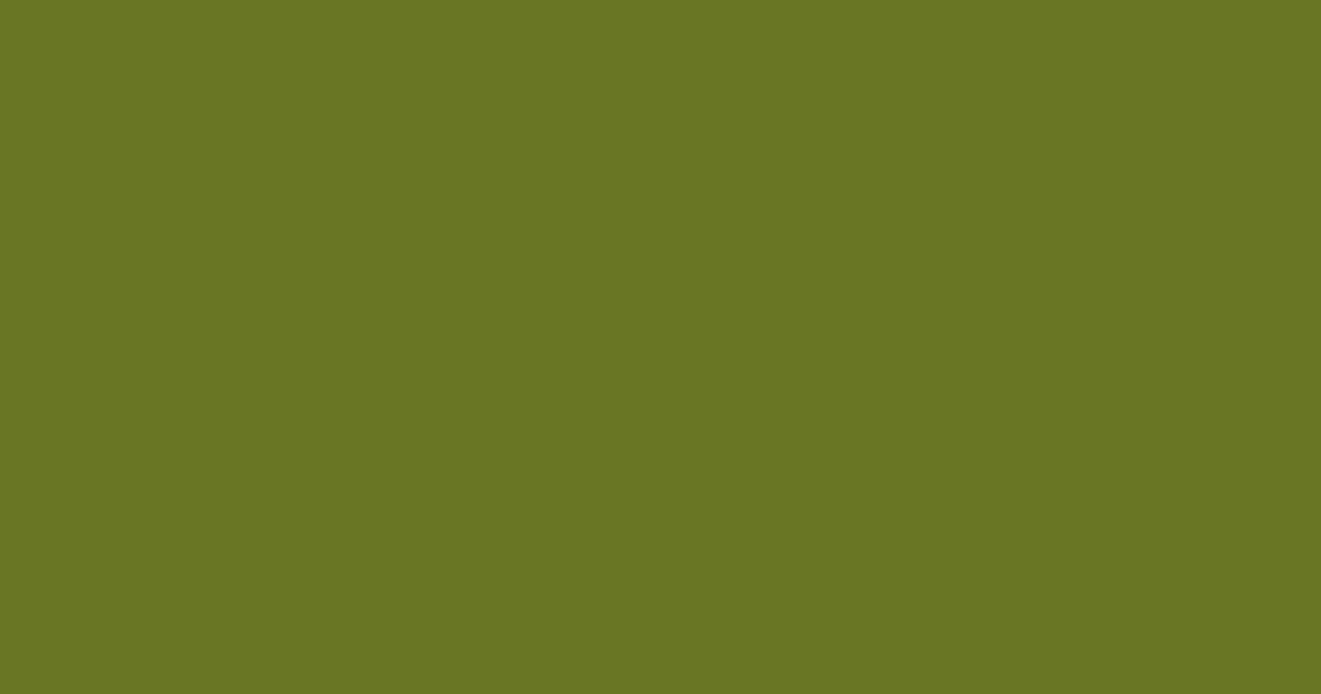 #687624 fern frond color image