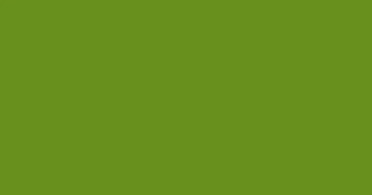 #698f1c trendy green color image