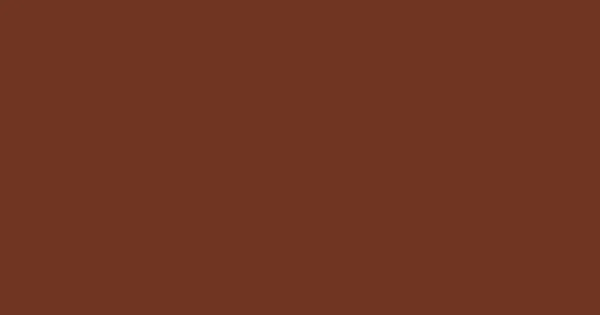 #703623 raw umber color image