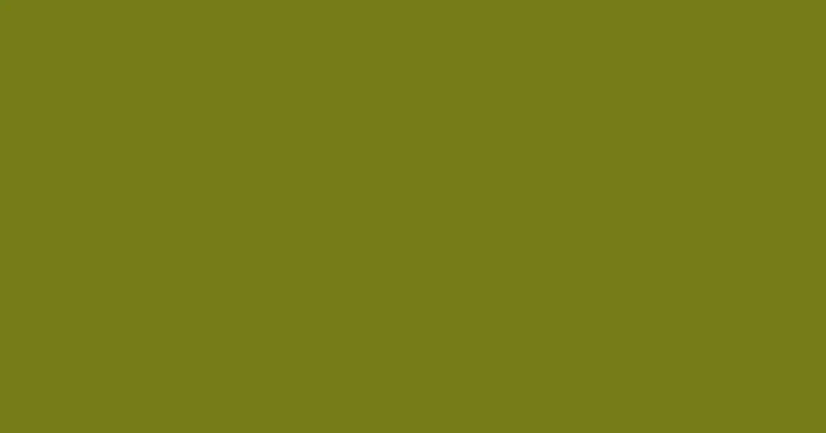#737b15 trendy green color image