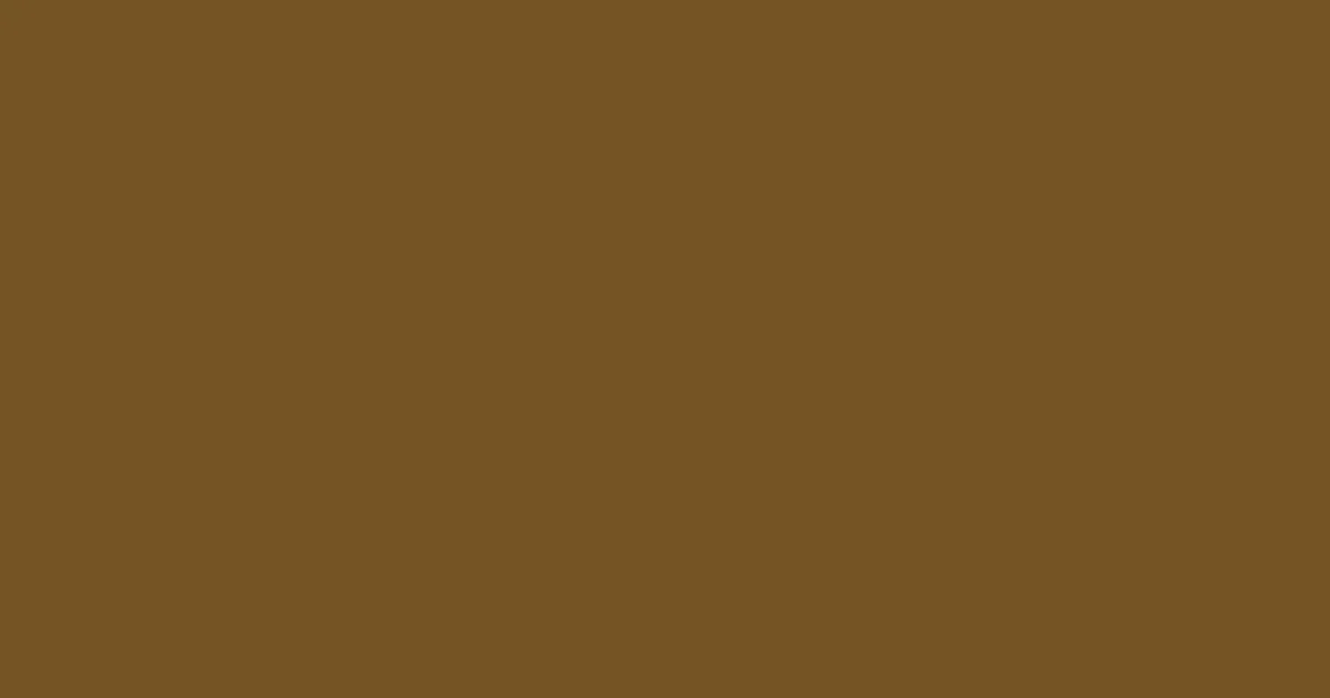 #745423 raw umber color image
