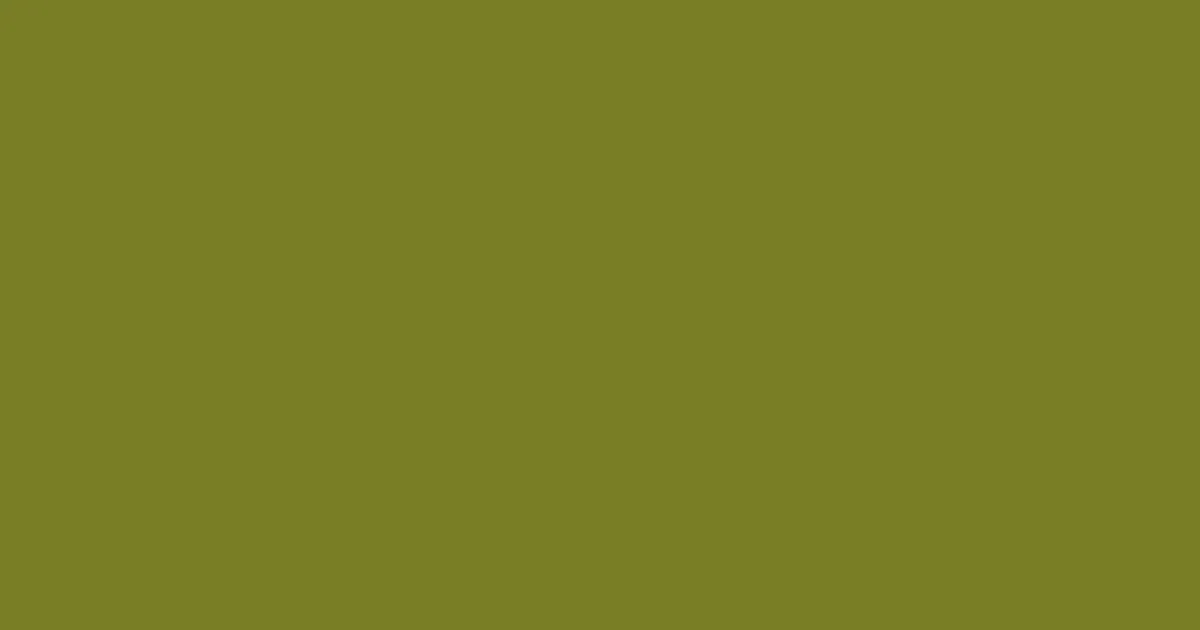 #777e25 wasabi color image