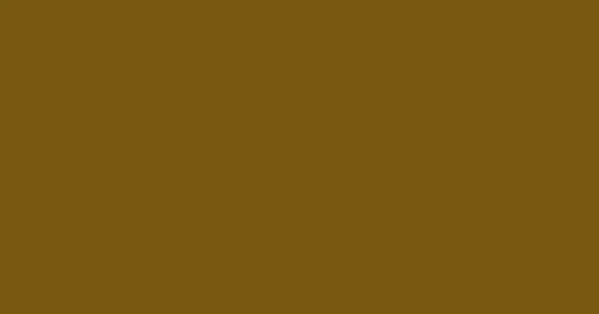 #795912 raw umber color image