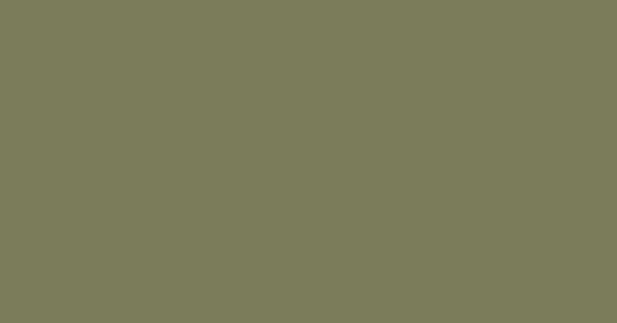 #7a7c59 flax smoke color image