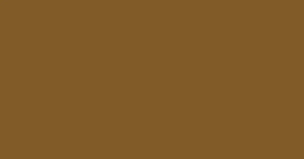 #805b27 raw umber color image