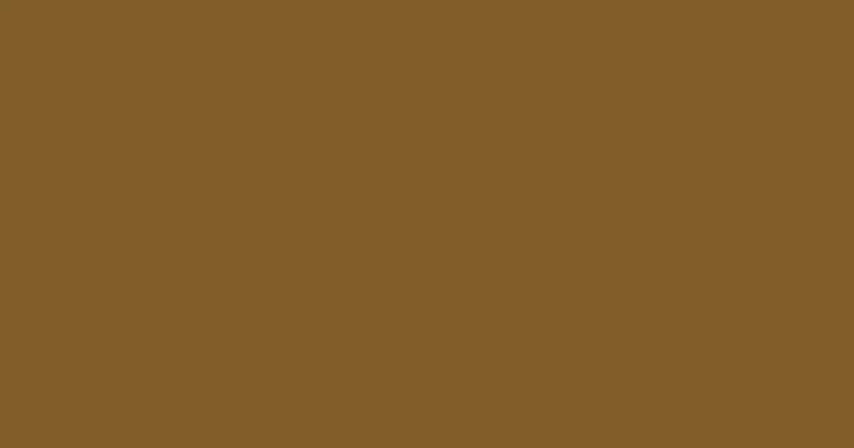 #805d29 raw umber color image