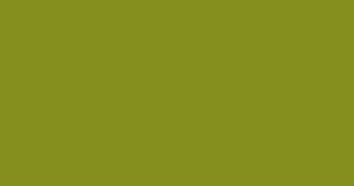 #848f1f trendy green color image