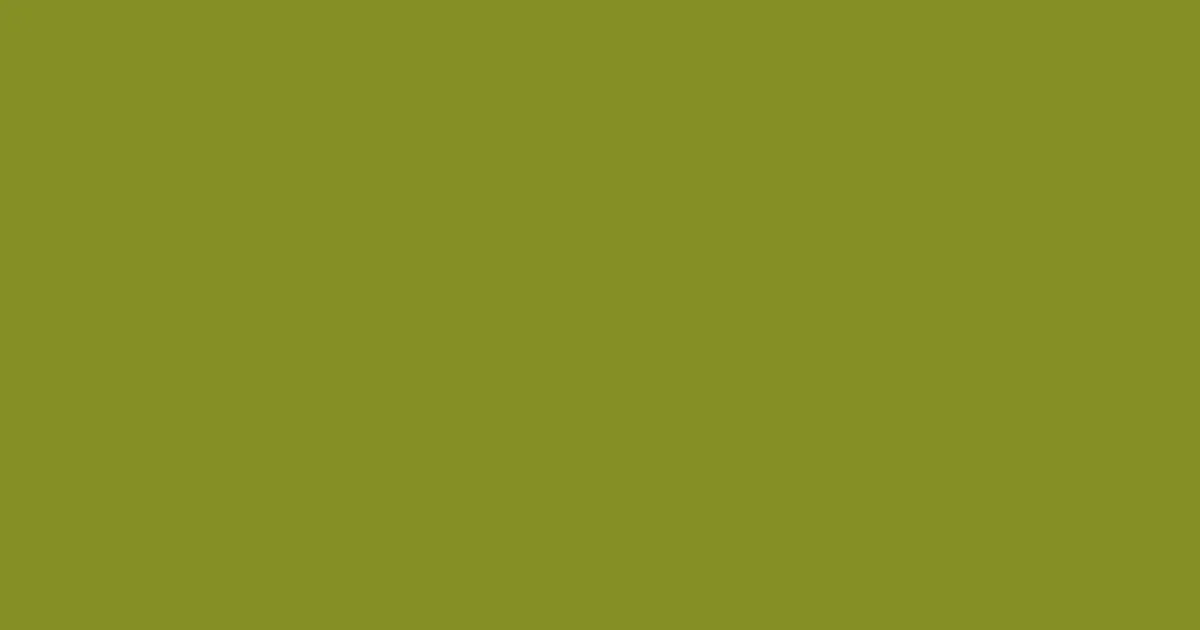 #848f25 wasabi color image