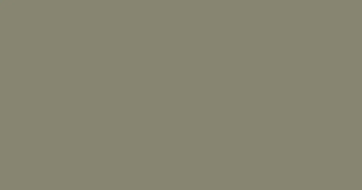 #868671 bandicoot color image