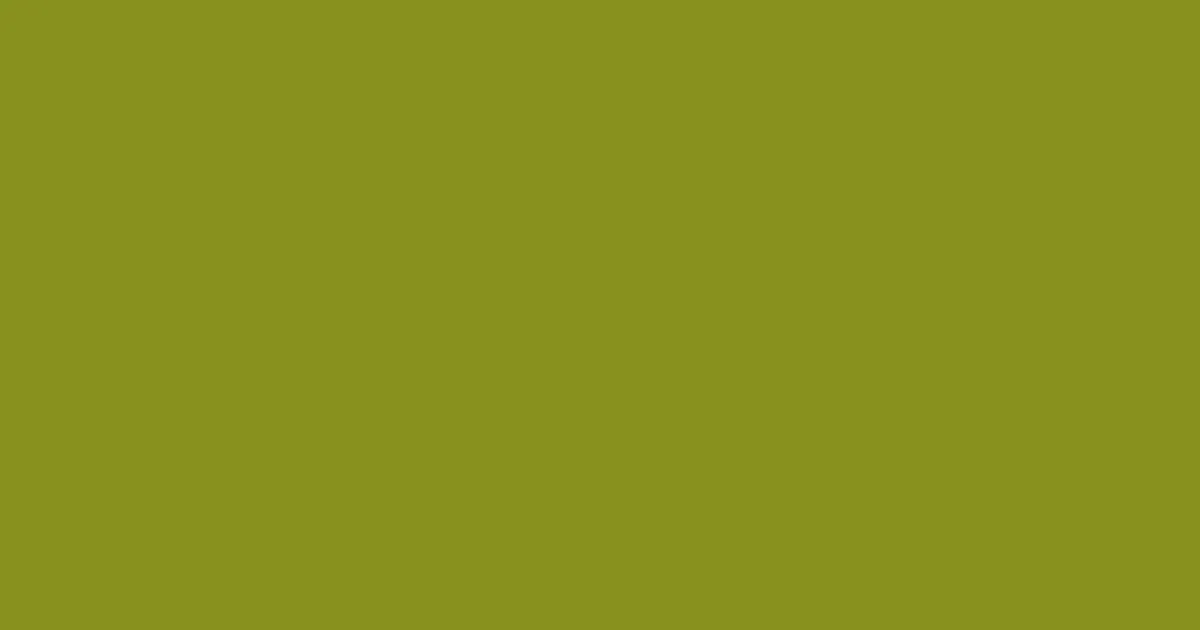 #88911e trendy green color image