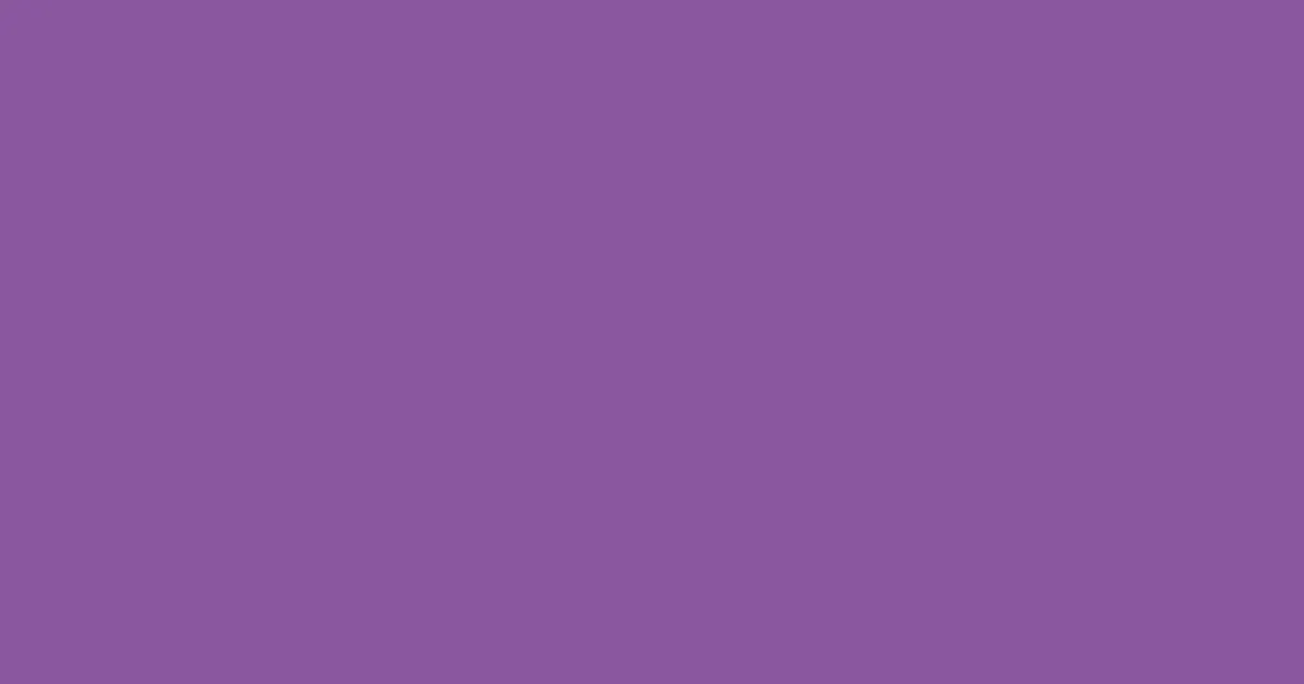 #89579e vivid violet color image