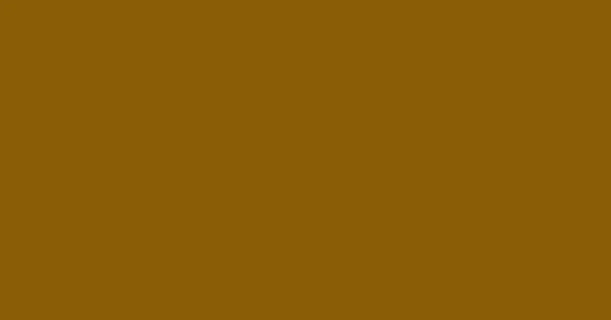 #895d06 rusty nail color image