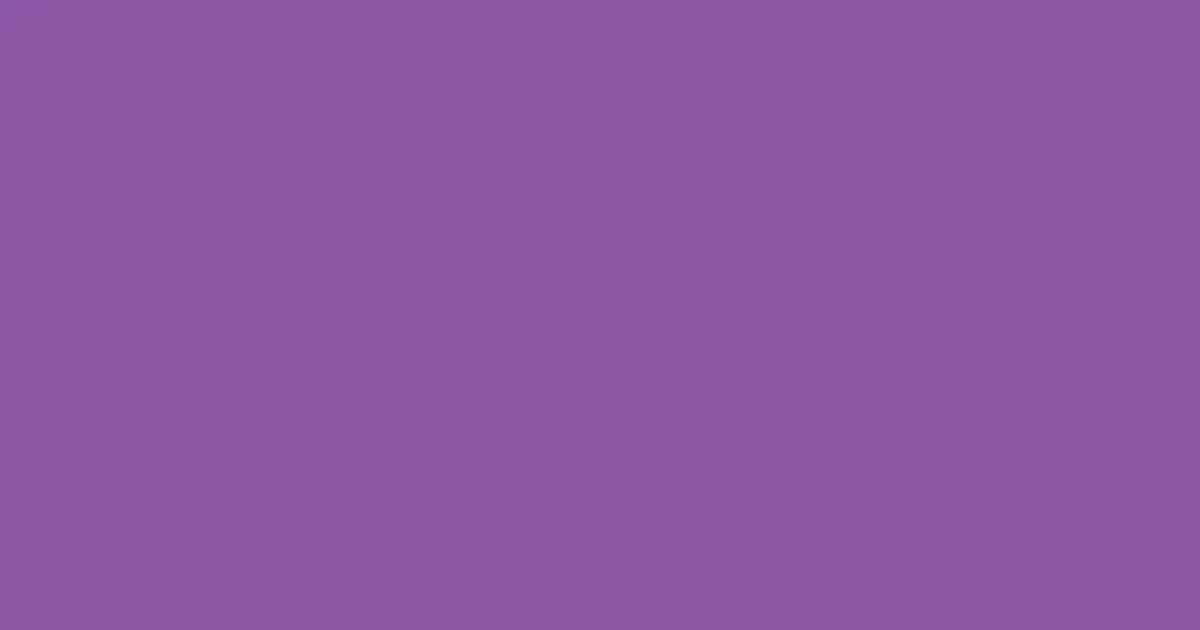 #8d56a6 vivid violet color image