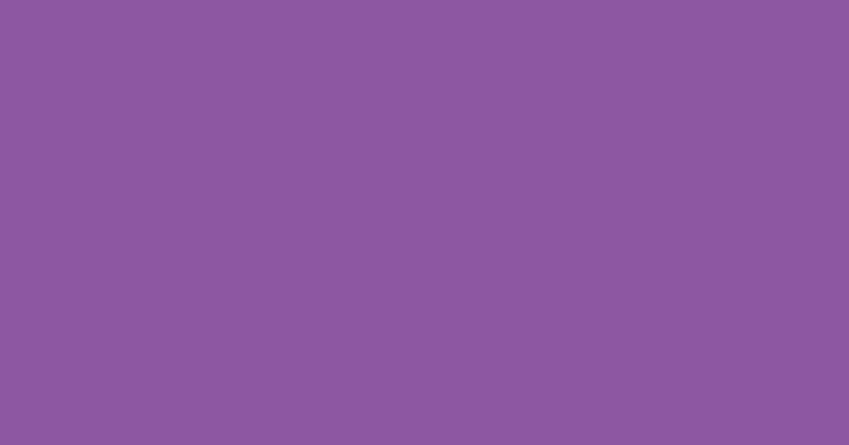 #8e58a1 vivid violet color image