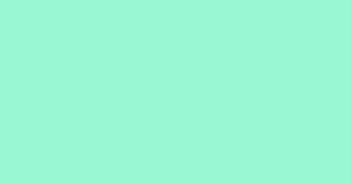 #98f8d3 aquamarine color image