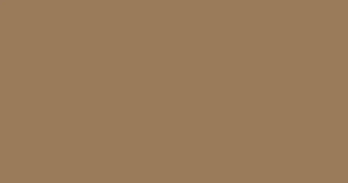#997b5a leather color image