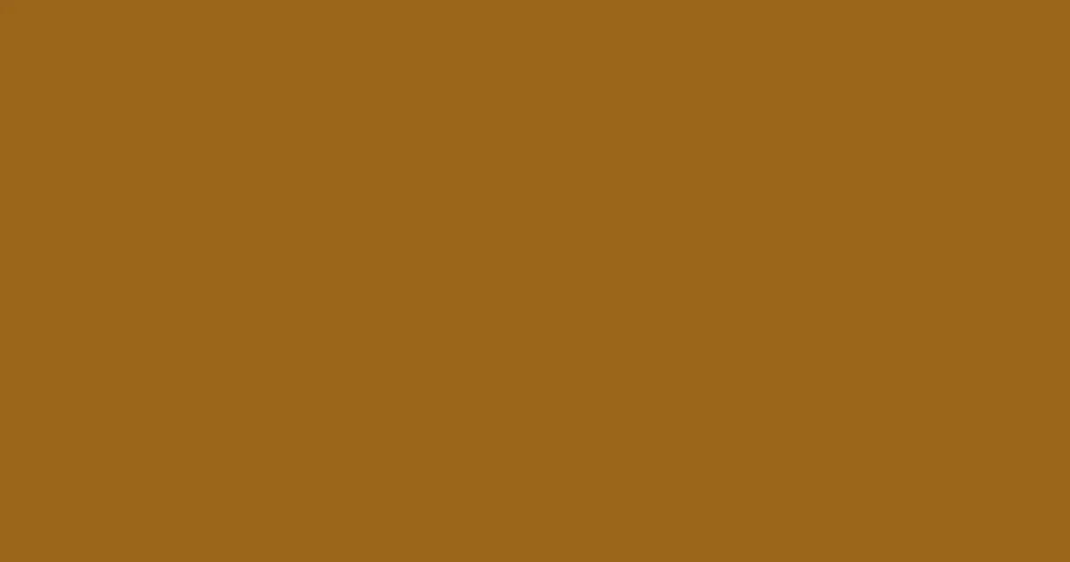 #9a651b hawaiian tan color image