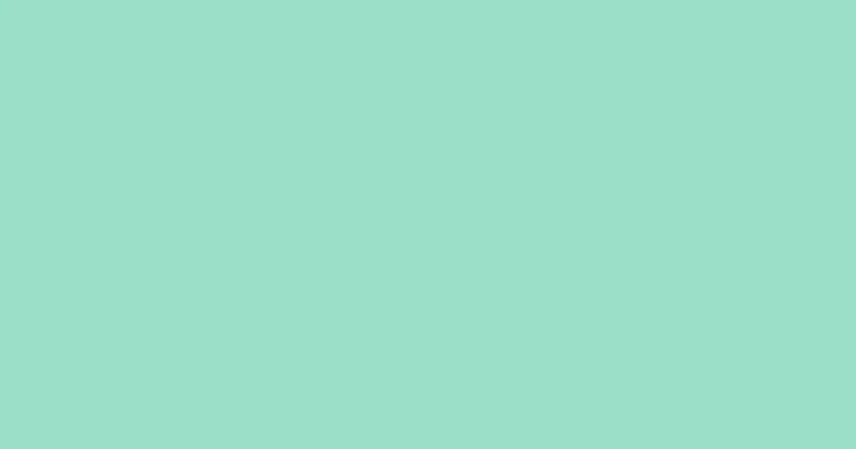 #9bdfc8 sea green color image