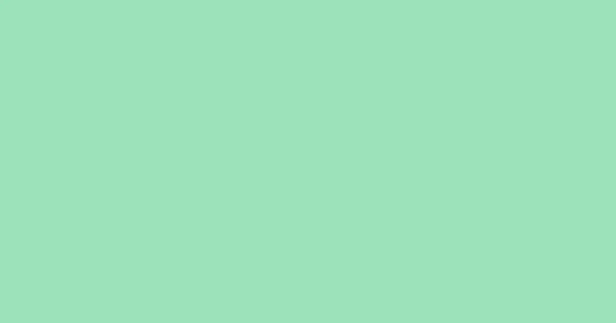 #9be1bb sea green color image