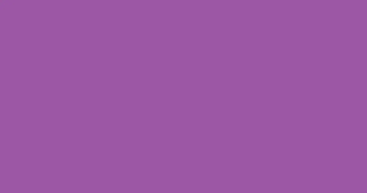 #9c56a4 vivid violet color image