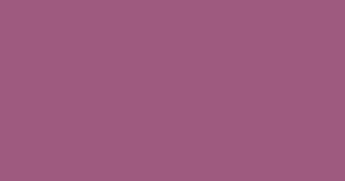 #9c5c7d rose dust color image