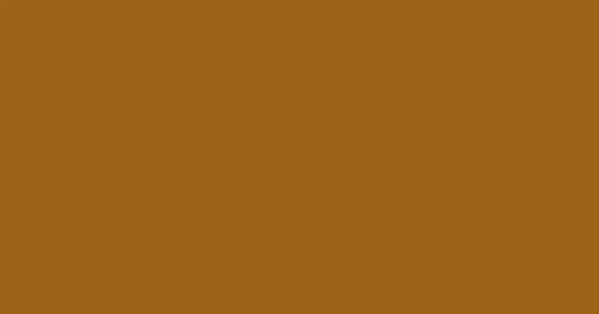 #9c6216 hawaiian tan color image