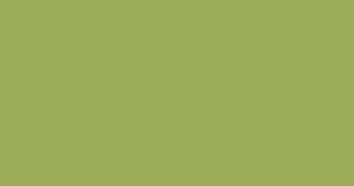 #9cac56 olive green color image