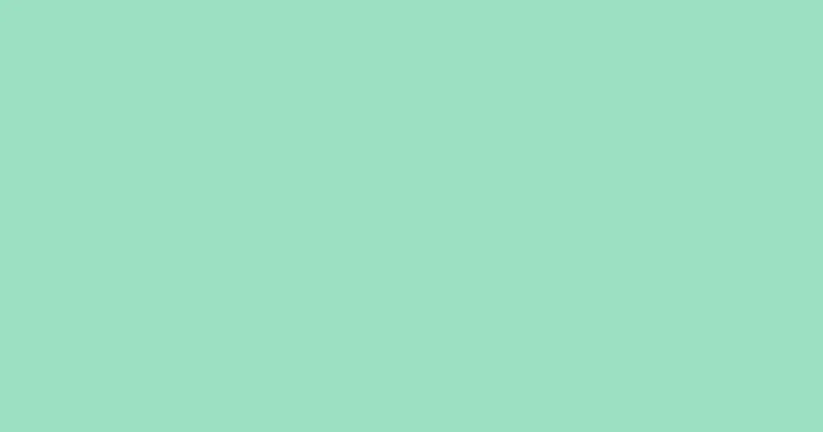 #9ce0c3 sea green color image