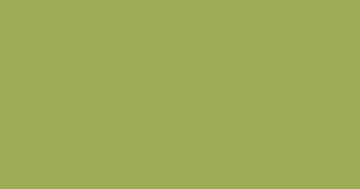 #9dac58 olive green color image