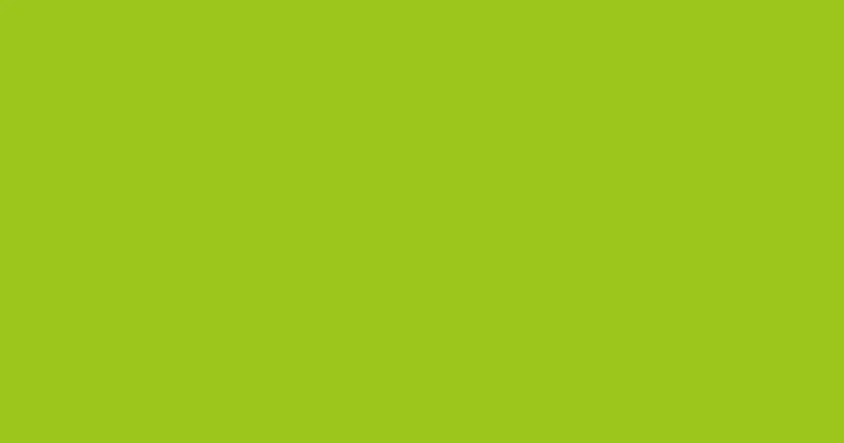 #9dc51d key lime pie color image