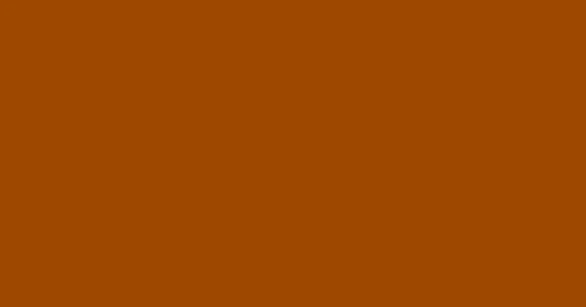 #9e4900 brown color image