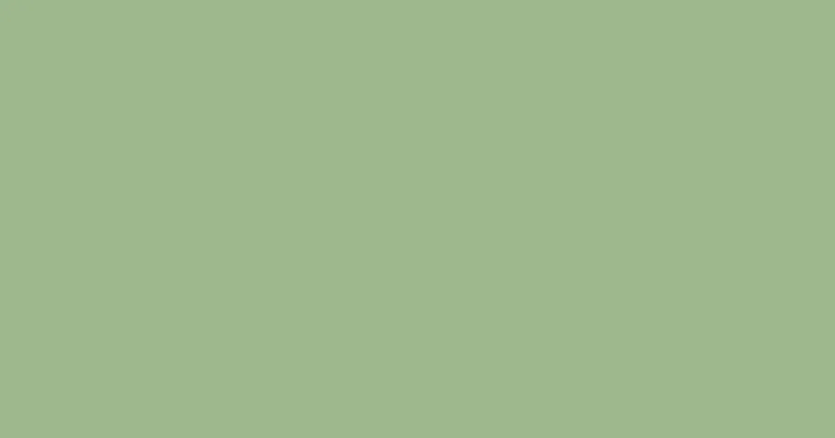 #9eb78d swamp green color image