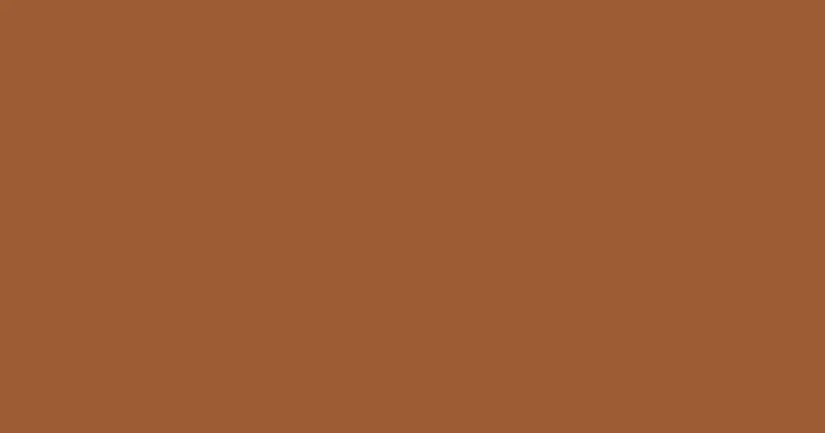#9f5c35 brown rust color image