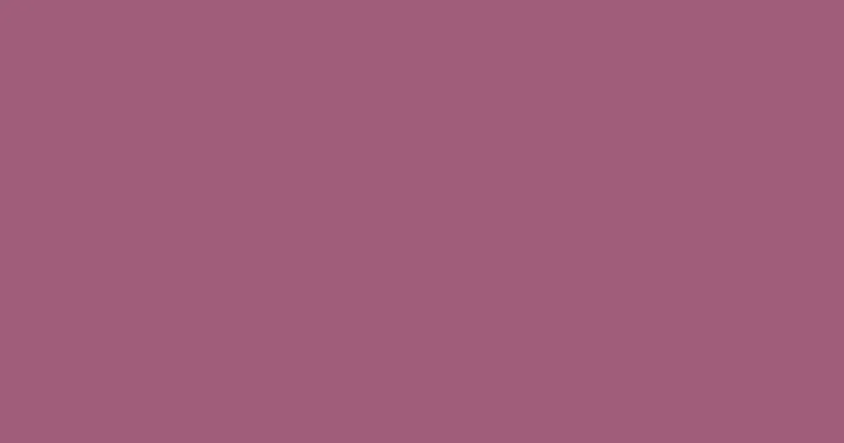 #9f5d7b rose dust color image