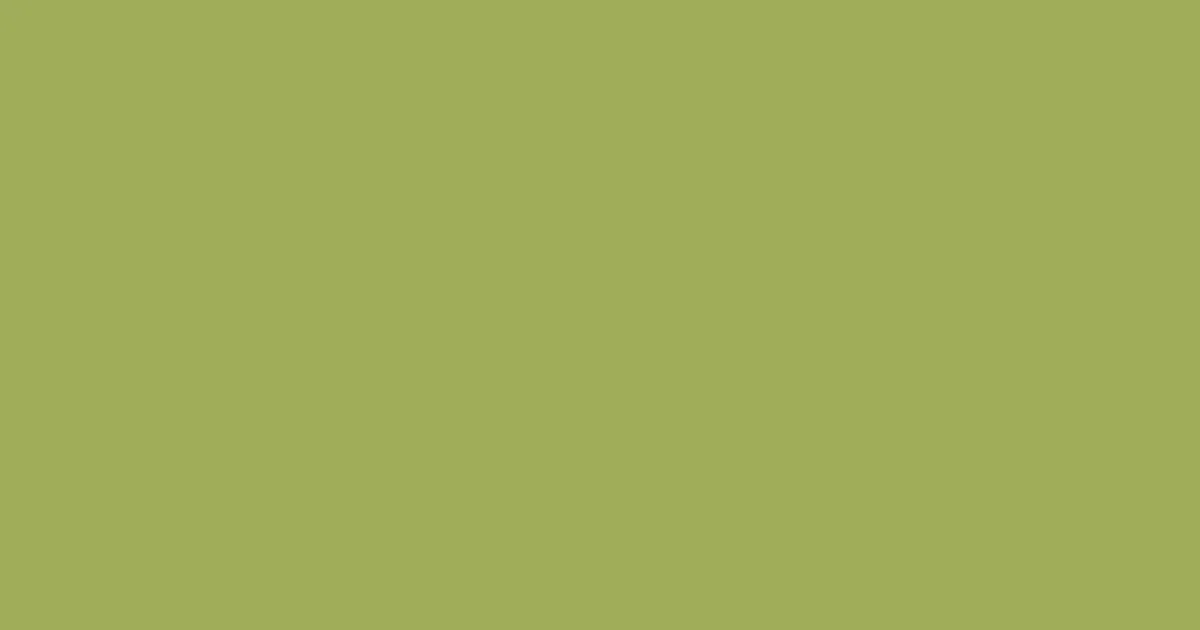 #9fad58 olive green color image