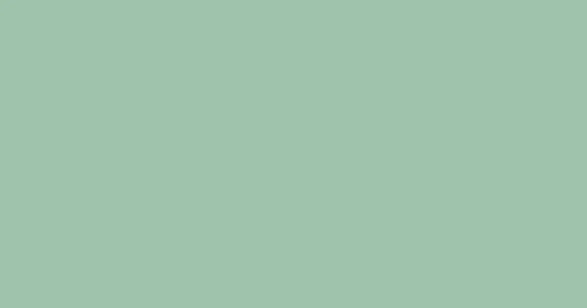 #9fc3ac summer green color image