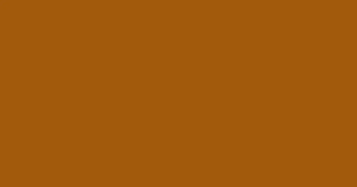 #a15a0c pumpkin skin color image