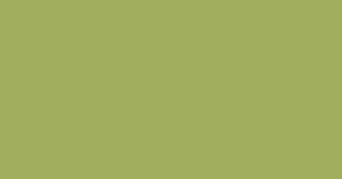 #a1ae5c olive green color image
