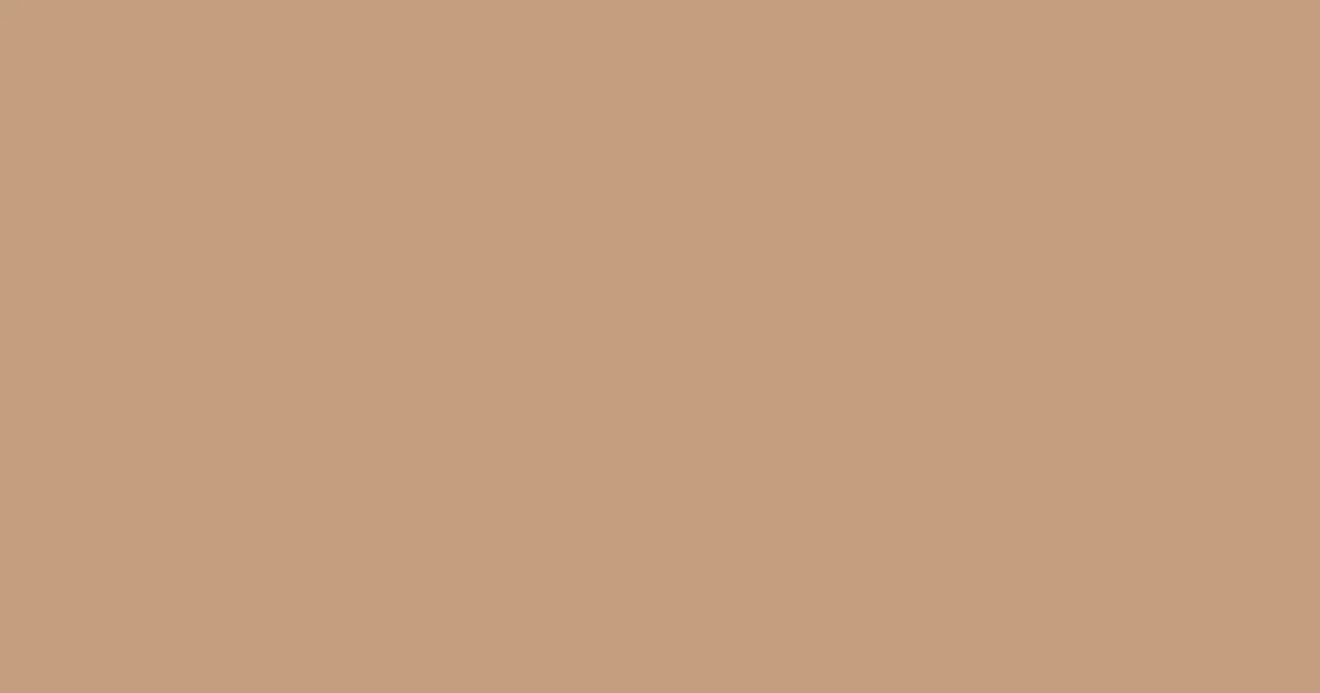 #c59f80 sorrell brown color image