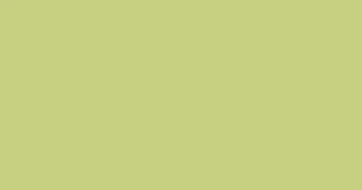 #c7cf81 pine glade color image