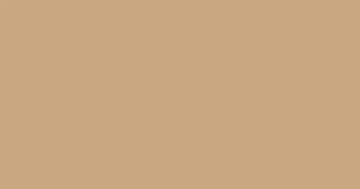 #c8a882 sorrell brown color image