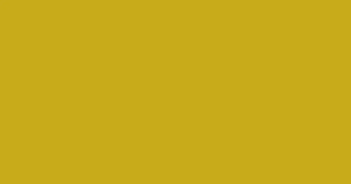 #c8ab1b golden grass color image